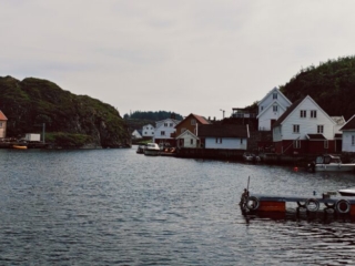Looking S from the Guest Harbour
