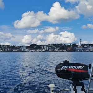 Goodbye Leirvik