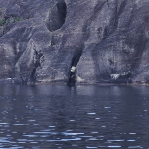 Rocks