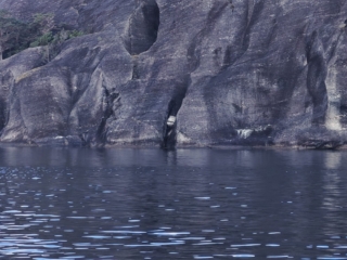 Rocks Rocks